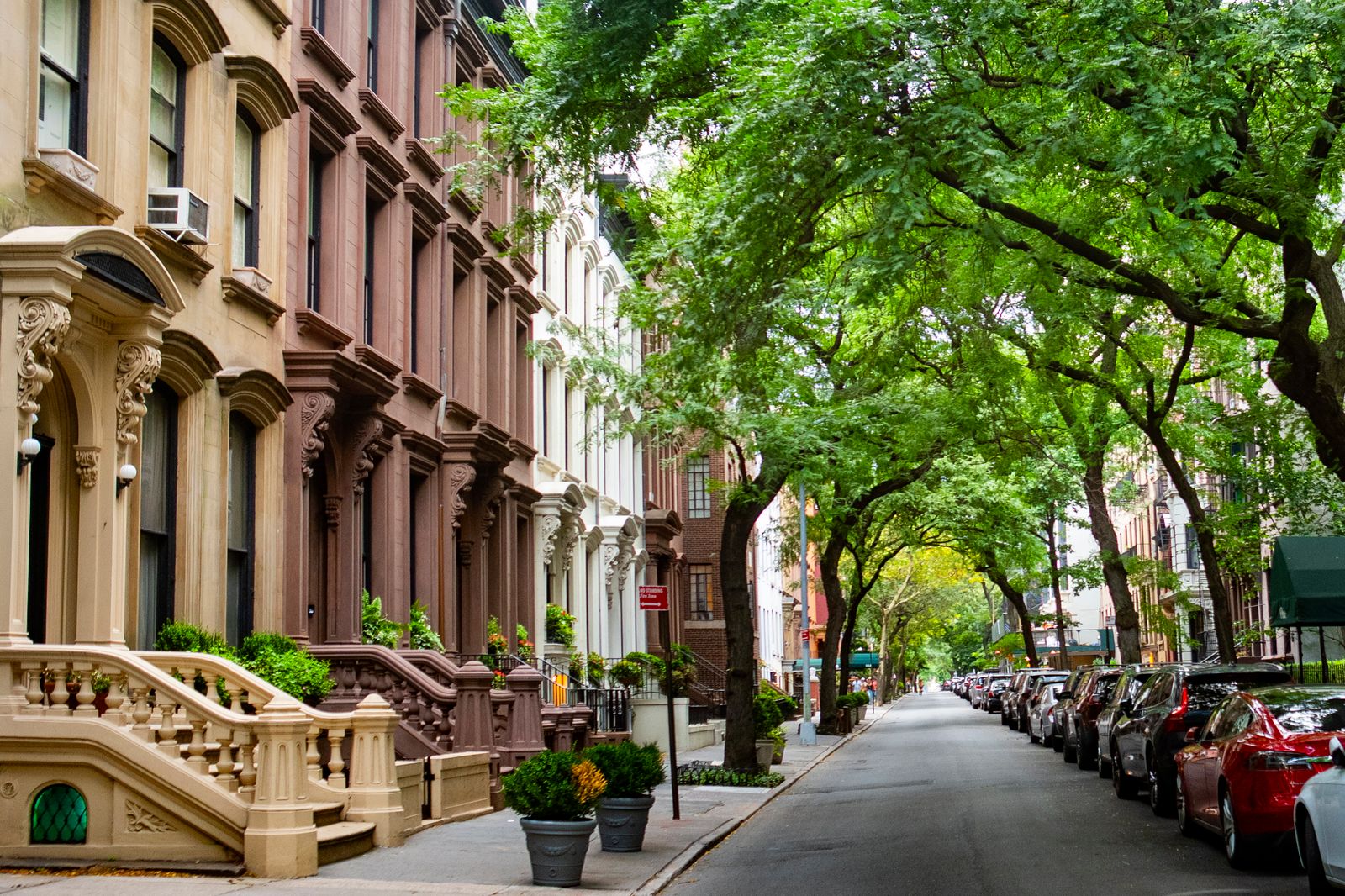 Tree-lined Brooklyn brownstone street